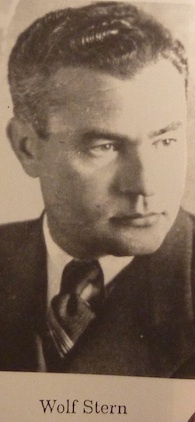 Вольф Штерн, брат М. Штерна