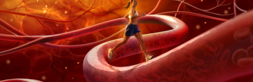 Профилактика гипотонии