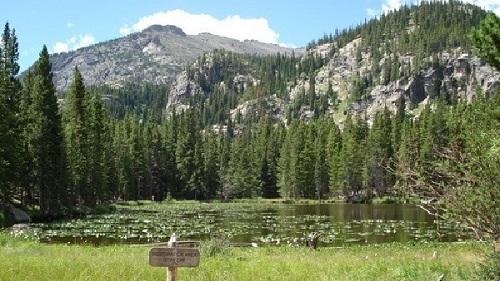 Роки-Маунтин (штат Колорадо)