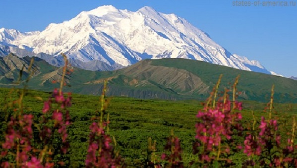 Предгорная местность.Denali Nationali Park