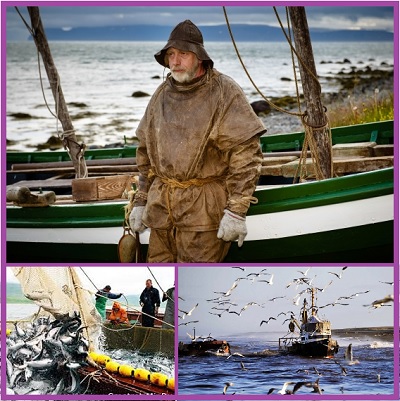 Рыбный промысел Исландии